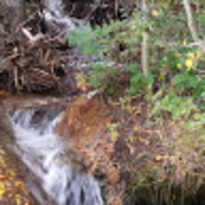 Meet your Posher, Redo